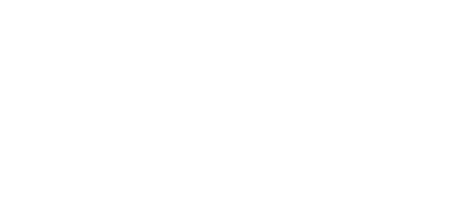 VINCIT_white
